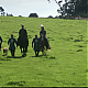 vlcsnap-2014-08-04-00h14m04s47.png